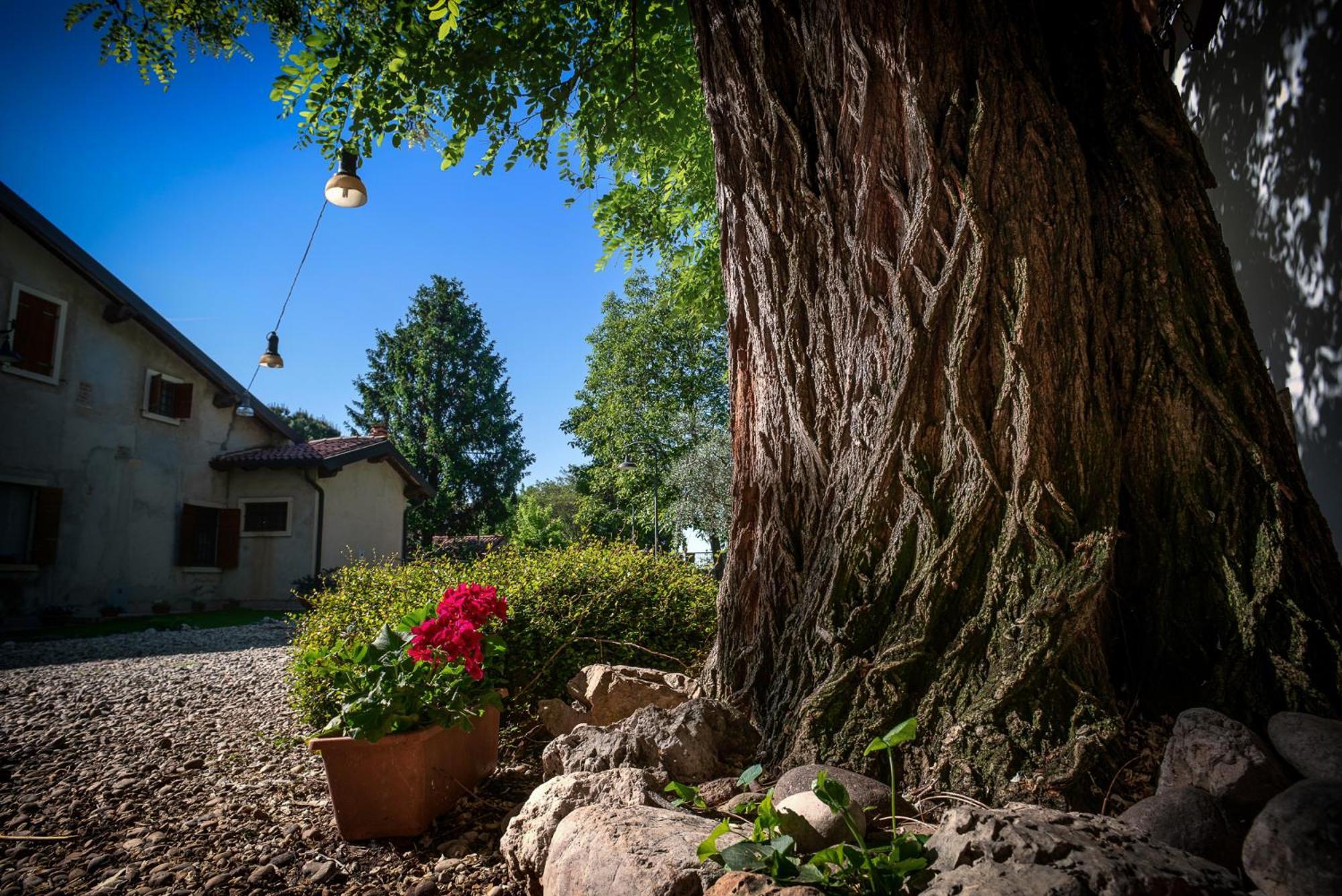 Pensjonat Fior Di Pesco Sommacampagna Zewnętrze zdjęcie